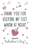 Thank You For Keeping My Feet Warm At Night, Funny Valentine's Day Notebook Gift For Husband Frow Wi... book cover