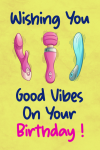 Wishing You Good Vibes On Your Birthday, Funny Birthday Notebook Gift For Women, Friends, Female, Fi... book cover