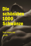Die schönsten 1000 Schwänze, Fake Buch, lustiges freches Gag Gesche... book cover