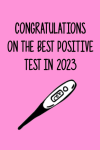 Congratulations On The Best Positive Test In 2023, Funny Pregnancy Notebook Gift For Pregnant Women,... book cover