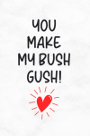 You Make My Bush Gush! Funny Naughty Valentine's Day Anniversary Notebook For Him, Boyfriend, Husban... book cover
